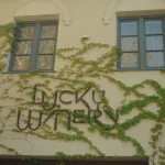 2026-05-16-Крым-Lucky-Winery-Dj-Boyko-10
